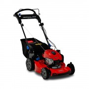 Toro 22 Inch 163 cc Gasoline Powered Walk-Behind Lawn Mower
